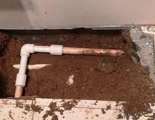 枣庄测漏水哪家好