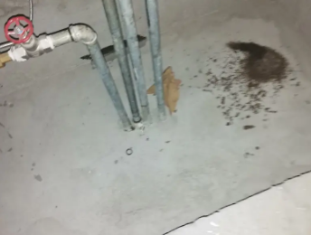 枣庄卫生间测漏水价格明细