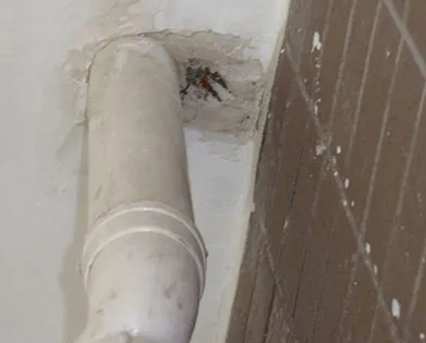 枣庄漏水检测哪家好